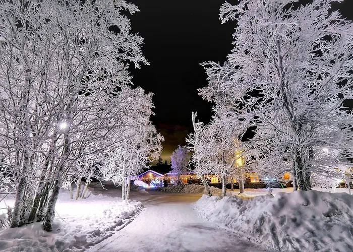 Kuukkeli Log Teerenpesae 4*